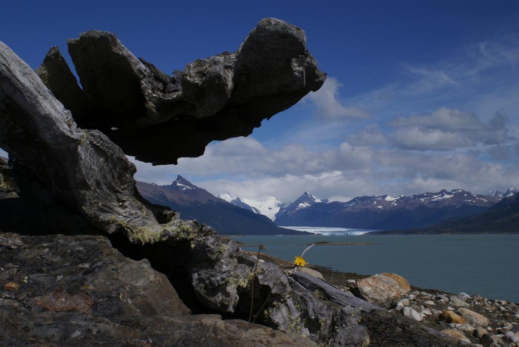 Adventure Domes Glamping Hotel Colonia Francisco Perito Moreno Buitenkant foto