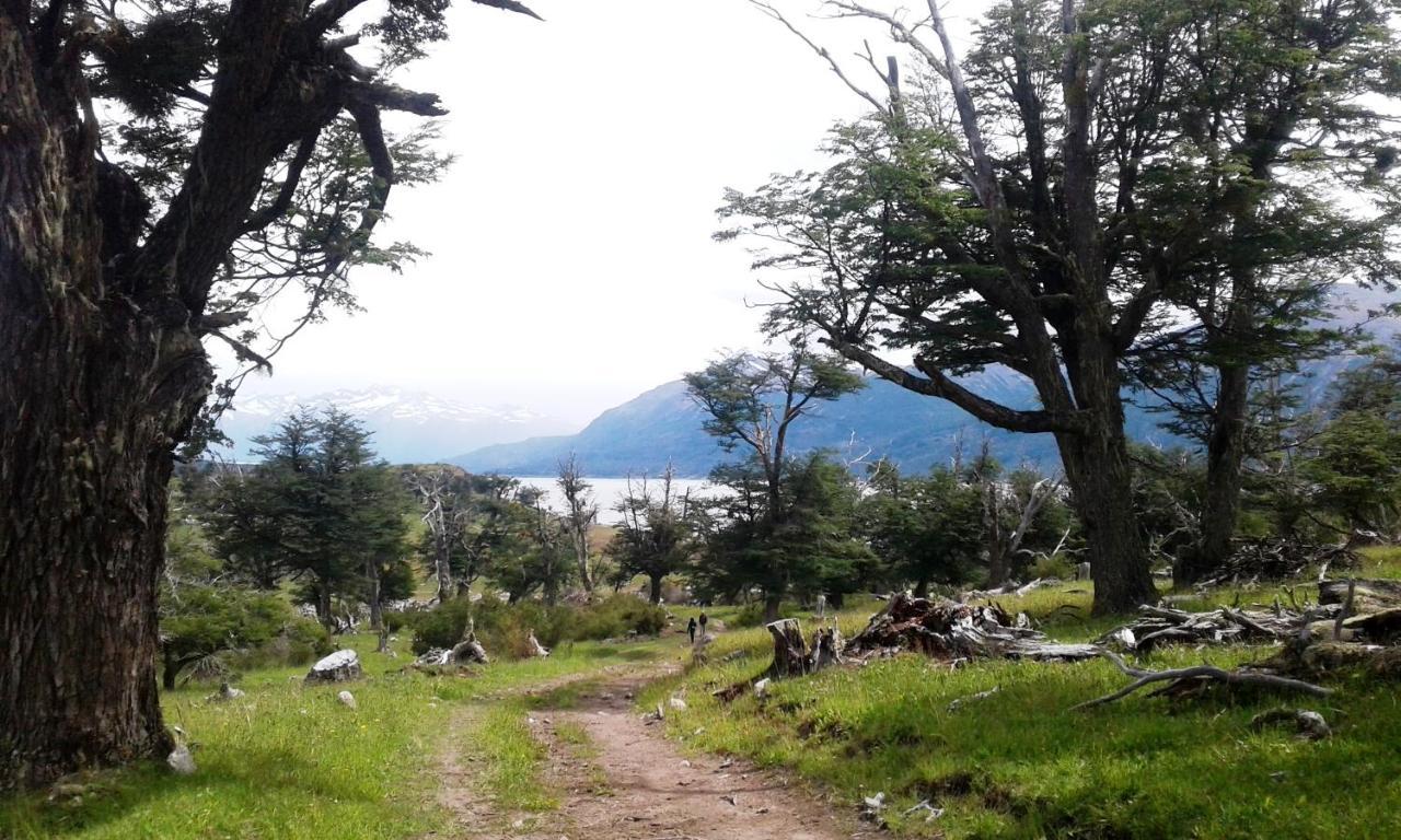 Adventure Domes Glamping Hotel Colonia Francisco Perito Moreno Buitenkant foto